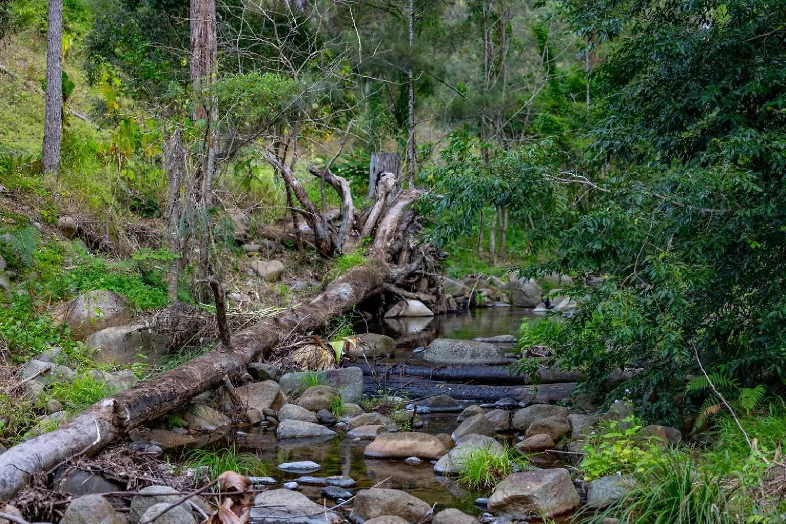 Balgowluh Villa Conondale Australia